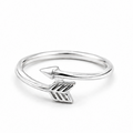 Ring 170